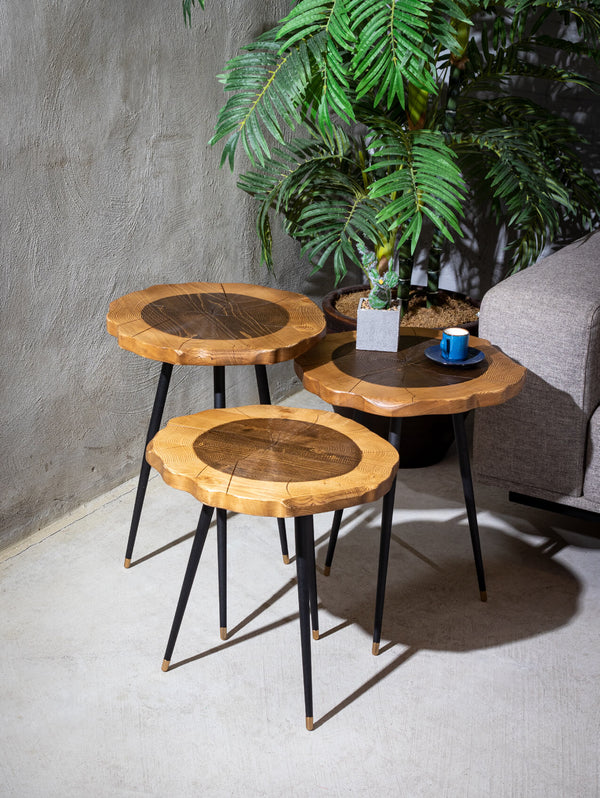 Harley Side Table Set